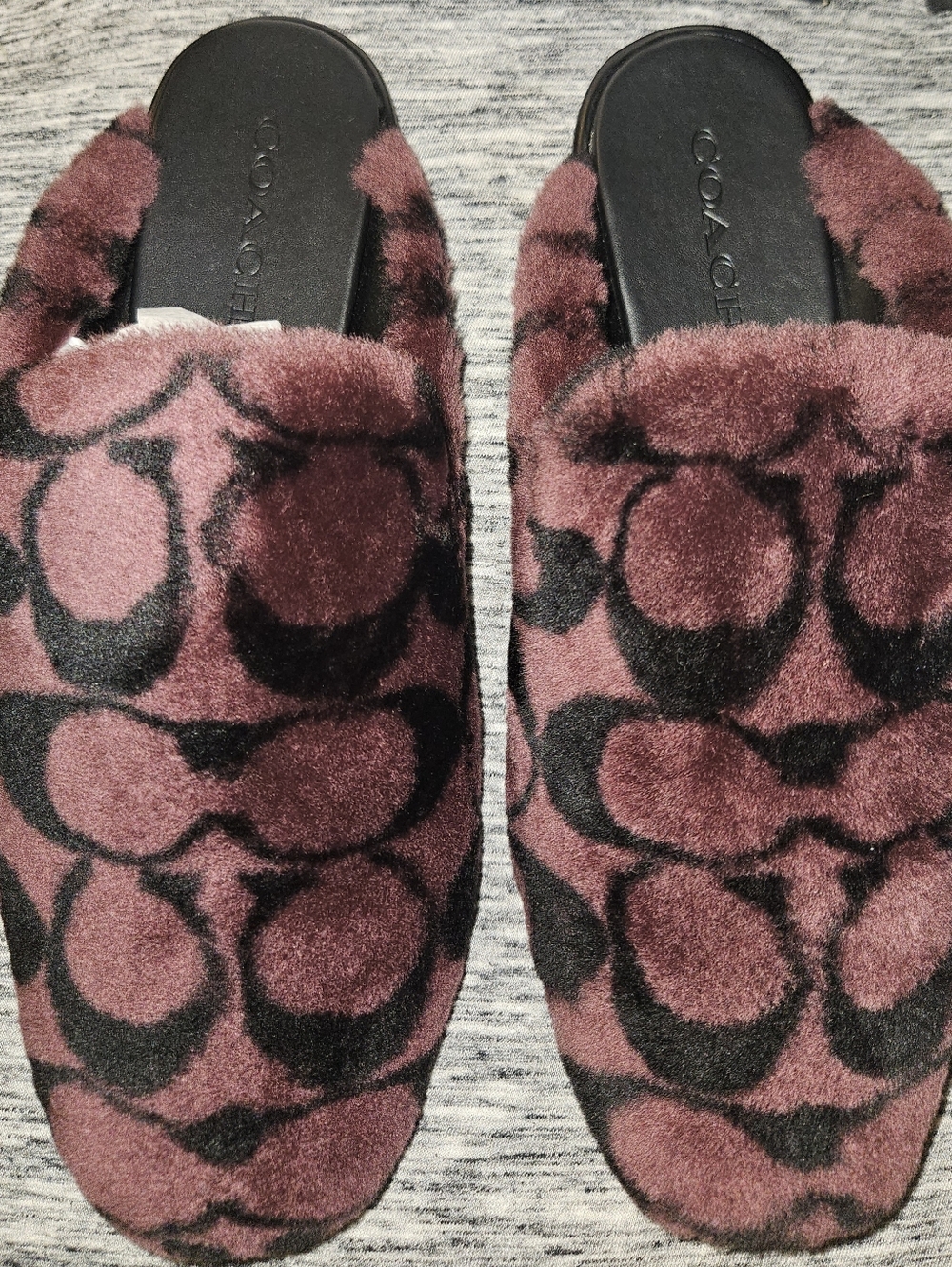 Coach Slippers